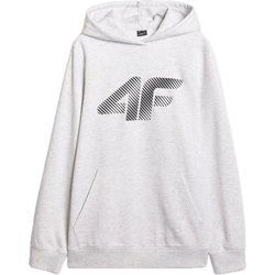 Bluza męska w stylu młodzieżowym 4F ze sklepu: SPORT-SHOP.pl w kategorii: Bluzy męskie - zdjęcie 6BAF450-D40-9631_194628
