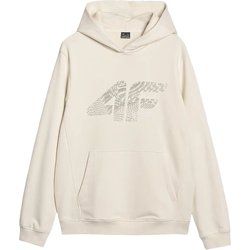 Bluza męska w stylu młodzieżowym 4F ze sklepu: SPORT-SHOP.pl w kategorii: Bluzy męskie - zdjęcie 6BAF450-D40-9631_194668