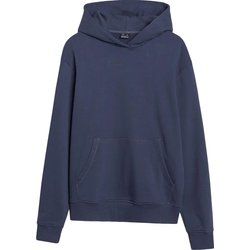 Bluza męska jesienna w stylu młodzieżowym 4F ze sklepu: SPORT-SHOP.pl w kategorii: Bluzy męskie - zdjęcie 6BAF450-D40-9631_194682