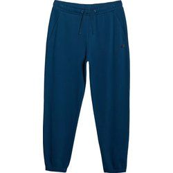 4F - Spodnie męskie ze sklepu: SPORT-SHOP.pl w kategorii: Spodnie męskie - zdjęcie 6BAF450-D40-9631_194698