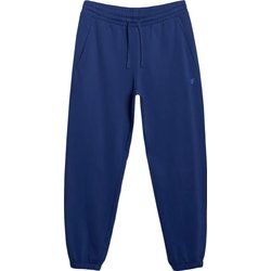 Spodnie męskie w sportowym stylu 4F ze sklepu: SPORT-SHOP.pl w kategorii: Spodnie męskie - zdjęcie 6BAF450-D40-9631_194700