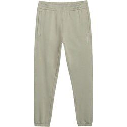 Spodnie męskie na jesień 4F ze sklepu: SPORT-SHOP.pl w kategorii: Spodnie męskie - zdjęcie 6BAF450-D40-9631_194705