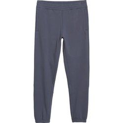 Spodnie męskie sportowe 4F ze sklepu: SPORT-SHOP.pl w kategorii: Spodnie męskie - zdjęcie 6BAF450-D40-9631_194706