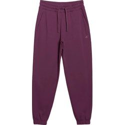 Spodnie damskie jesienne 4F ze sklepu: SPORT-SHOP.pl w kategorii: Spodnie damskie - zdjęcie 6BAF450-D40-9631_194750