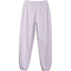 Spodnie damskie sportowe 4F ze sklepu: SPORT-SHOP.pl w kategorii: Spodnie damskie - zdjęcie 6BAF450-D40-9631_194756