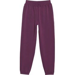 4F - Spodnie damskie na jesień ze sklepu: SPORT-SHOP.pl w kategorii: Spodnie damskie - zdjęcie 6BAF450-D40-9631_194765