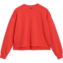 4F - Bluza damska na jesień ze sklepu: SPORT-SHOP.pl w kategorii: Bluzy damskie - zdjęcie 6BAF450-D40-9631_194850