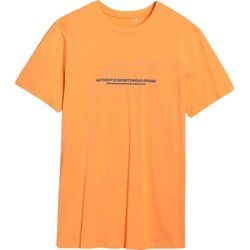 T-shirt męski sportowy 4F ze sklepu: SPORT-SHOP.pl w kategorii: T-shirty męskie - zdjęcie 6BAF450-D40-9631_194924