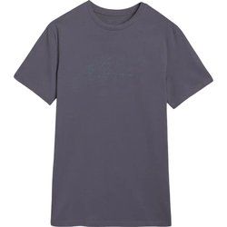 T-shirt męski casual wiosenny 4F ze sklepu: SPORT-SHOP.pl w kategorii: T-shirty męskie - zdjęcie 6BAF450-D40-9631_194925