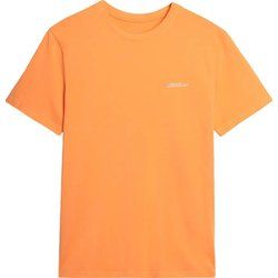 T-shirt męski 4F ze sklepu: SPORT-SHOP.pl w kategorii: T-shirty męskie - zdjęcie 6BAF450-D40-9631_194929