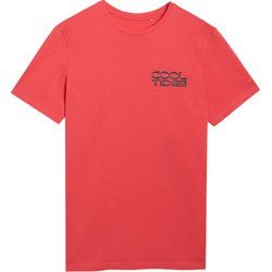 T-shirt męski wiosenny 4F ze sklepu: SPORT-SHOP.pl w kategorii: T-shirty męskie - zdjęcie 6BAF450-D40-9631_194935