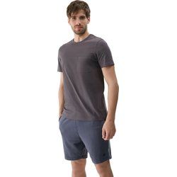 T-shirt męski w sportowym stylu 4F ze sklepu: SPORT-SHOP.pl w kategorii: T-shirty męskie - zdjęcie 6BAF450-D40-9631_194951