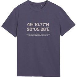 T-shirt męski sportowy 4F ze sklepu: SPORT-SHOP.pl w kategorii: T-shirty męskie - zdjęcie 6BAF450-D40-9631_194959