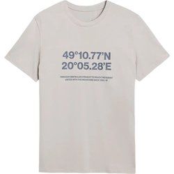 T-shirt męski wiosenny 4F ze sklepu: SPORT-SHOP.pl w kategorii: T-shirty męskie - zdjęcie 6BAF450-D40-9631_194960