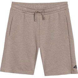 Spodenki chłopięce na lato 4F ze sklepu: SPORT-SHOP.pl w kategorii: Spodenki chłopięce - zdjęcie 6BAF450-D40-9631_195375