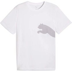 T-shirt męski Puma ze sklepu: SPORT-SHOP.pl w kategorii: T-shirty męskie - zdjęcie 6BAF450-D40-9631_196725