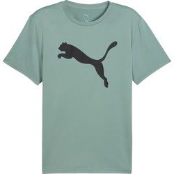 T-shirt męski na wiosnę Puma ze sklepu: SPORT-SHOP.pl w kategorii: T-shirty męskie - zdjęcie 6BAF450-D40-9631_196734