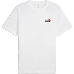 T-shirt męski sportowy na wiosnę Puma ze sklepu: SPORT-SHOP.pl w kategorii: T-shirty męskie - zdjęcie 6BAF450-D40-9631_196750