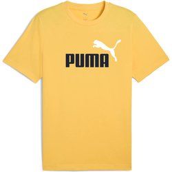T-shirt męski sportowy na wiosnę Puma ze sklepu: SPORT-SHOP.pl w kategorii: T-shirty męskie - zdjęcie 6BAF450-D40-9631_196751