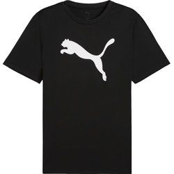 T-shirt męski Puma ze sklepu: SPORT-SHOP.pl w kategorii: T-shirty męskie - zdjęcie 6BAF450-D40-9631_196789