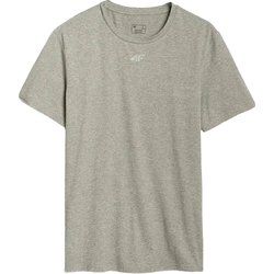 4F - T-shirt męski wiosenny casualowy ze sklepu: SPORT-SHOP.pl w kategorii: T-shirty męskie - zdjęcie 6BAF450-D40-9631_197830