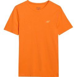 4F - T-shirt męski casual na wiosnę ze sklepu: SPORT-SHOP.pl w kategorii: T-shirty męskie - zdjęcie 6BAF450-D40-9631_197841