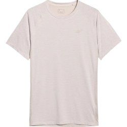 T-shirt męski na wiosnę casual 4F ze sklepu: SPORT-SHOP.pl w kategorii: T-shirty męskie - zdjęcie 6BAF450-D40-9631_197874