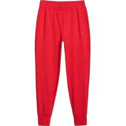 Spodnie damskie wiosenne sportowe 4F ze sklepu: SPORT-SHOP.pl w kategorii: Spodnie damskie - zdjęcie 6BAF450-D40-9631_197933