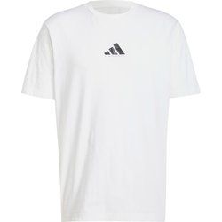 T-shirt męski sportowy adidas ze sklepu: SPORT-SHOP.pl w kategorii: T-shirty męskie - zdjęcie 6BAF450-D40-9631_198519