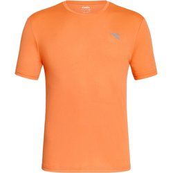 T-shirt męski Diadora ze sklepu: SPORT-SHOP.pl w kategorii: T-shirty męskie - zdjęcie 6BAF450-D40-9631_199278
