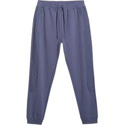 Spodnie męskie jesienne 4F ze sklepu: SPORT-SHOP.pl w kategorii: Spodnie męskie - zdjęcie 6BAF450-D40-9631_203203