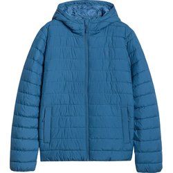 Kurtka męska zimowa 4F ze sklepu: SPORT-SHOP.pl w kategorii: Kurtki męskie - zdjęcie 6BAF450-D40-9631_203205