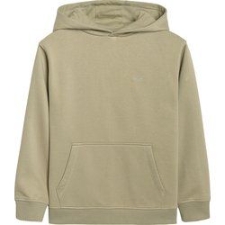4F - Bluza chłopięca na zimę ze sklepu: SPORT-SHOP.pl w kategorii: Bluzy chłopięce - zdjęcie 6BAF450-D40-9631_203282