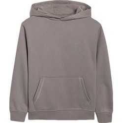 Bluza chłopięca na zimę 4F ze sklepu: SPORT-SHOP.pl w kategorii: Bluzy chłopięce - zdjęcie 6BAF450-D40-9631_203284