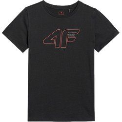T-shirt chłopięce letni 4F ze sklepu: SPORT-SHOP.pl w kategorii: T-shirty chłopięce - zdjęcie 6BAF450-D40-9631_203287