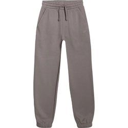 4F - Spodnie chłopięce na jesień ze sklepu: SPORT-SHOP.pl w kategorii: Spodnie chłopięce - zdjęcie 6BAF450-D40-9631_203302