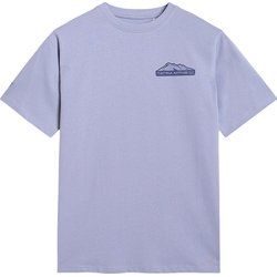 4F - T-shirt chłopięce letni ze sklepu: SPORT-SHOP.pl w kategorii: T-shirty chłopięce - zdjęcie 6BAF450-D40-9631_203344