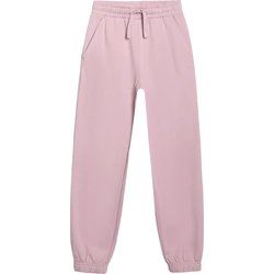 Spodnie dziewczęce na wiosnę 4F ze sklepu: SPORT-SHOP.pl w kategorii: Spodnie dziewczęce - zdjęcie 6BAF450-D40-9631_203350