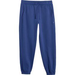 Spodnie męskie w sportowym stylu 4F ze sklepu: SPORT-SHOP.pl w kategorii: Spodnie męskie - zdjęcie 6BAF450-D40-9631_203410
