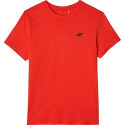 T-shirt męski casual 4F ze sklepu: SPORT-SHOP.pl w kategorii: T-shirty męskie - zdjęcie 6BAF450-D40-9631_203563