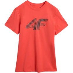 T-shirt męski wiosenny 4F ze sklepu: SPORT-SHOP.pl w kategorii: T-shirty męskie - zdjęcie 6BAF450-D40-9631_203565