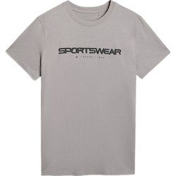 4F - T-shirt męski młodzieżowy na wiosnę ze sklepu: SPORT-SHOP.pl w kategorii: T-shirty męskie - zdjęcie 6BAF450-D40-9631_203726