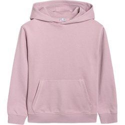 Bluza dziewczęca na zimę 4F ze sklepu: SPORT-SHOP.pl w kategorii: Bluzy dziewczęce - zdjęcie 6BAF450-D40-9631_204996