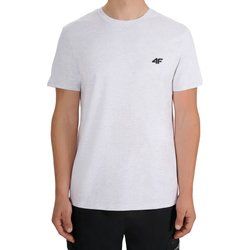 T-shirt męski casual 4F ze sklepu: SPORT-SHOP.pl w kategorii: T-shirty męskie - zdjęcie 6BAF450-D40-9631_205345