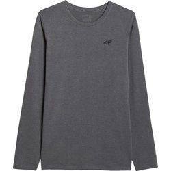 4F - T-shirt męski sportowy jesienny ze sklepu: SPORT-SHOP.pl w kategorii: T-shirty męskie - zdjęcie 6BAF450-D40-9631_205354