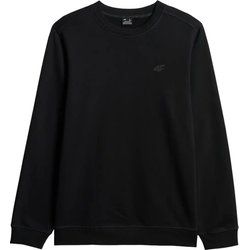 Bluza męska na jesień casual 4F ze sklepu: SPORT-SHOP.pl w kategorii: Bluzy męskie - zdjęcie 6BAF450-D40-9631_205360