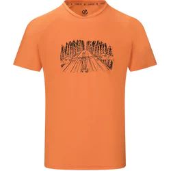 T-shirt męski Dare2B ze sklepu: SPORT-SHOP.pl w kategorii: T-shirty męskie - zdjęcie 6BAF450-D40-9631_205740