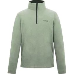 Bluza męska casual na jesień Regatta ze sklepu: SPORT-SHOP.pl w kategorii: Bluzy męskie - zdjęcie 6BAF450-D40-9631_205849