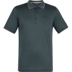 T-shirt męski na lato Regatta ze sklepu: SPORT-SHOP.pl w kategorii: T-shirty męskie - zdjęcie 6BAF450-D40-9631_205938