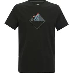 T-shirt męski w stylu młodzieżowym Regatta ze sklepu: SPORT-SHOP.pl w kategorii: T-shirty męskie - zdjęcie 6BAF450-D40-9631_205940